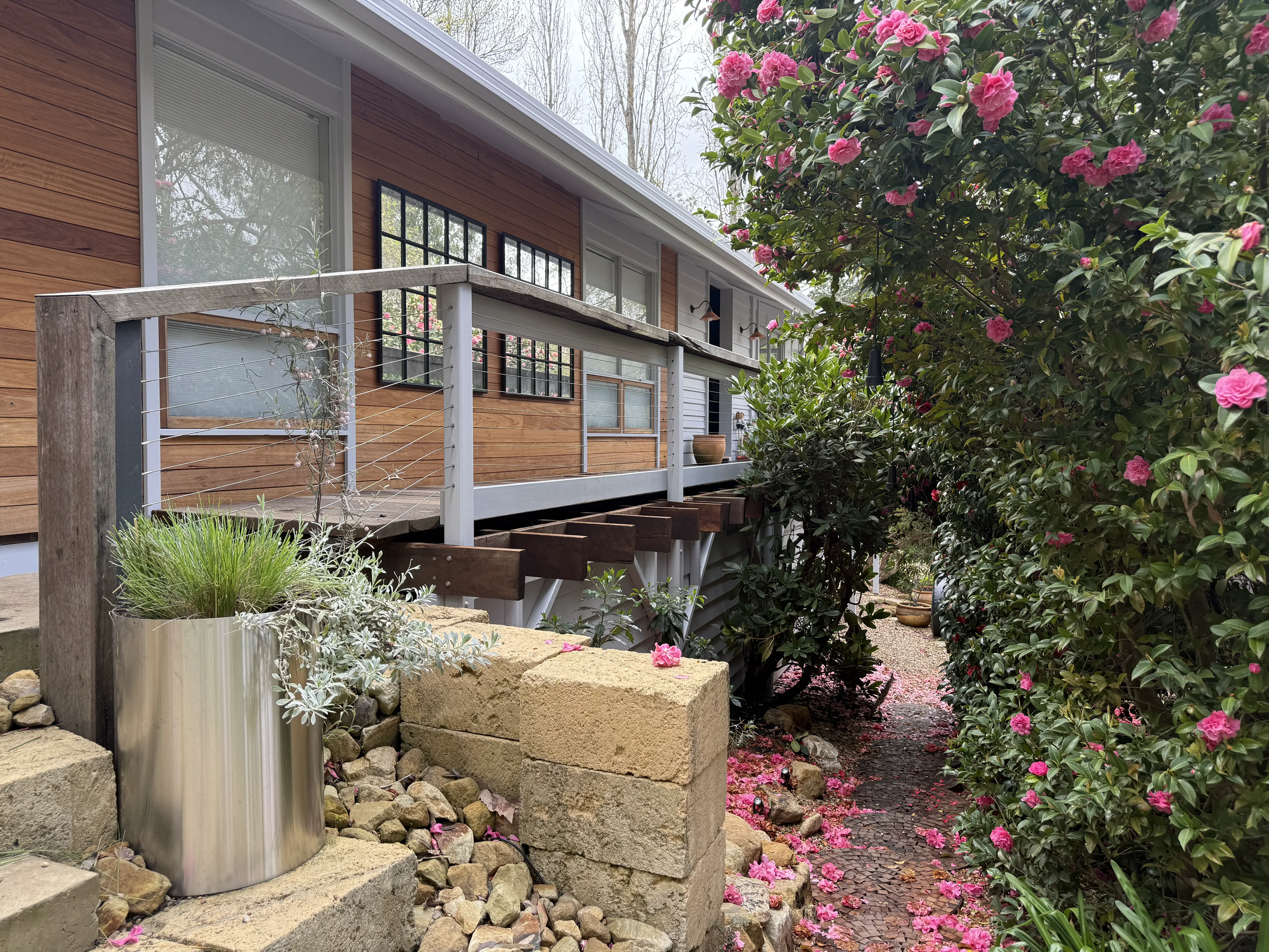 Elevated timber deck with cable balustrade and flowering garden